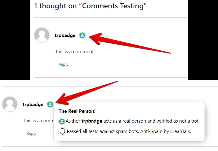 опция реальный человек в настройках плагина CleanTalk WordPress